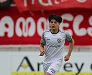 28. Spieltag FSV Zwickau - BFC Dynamo