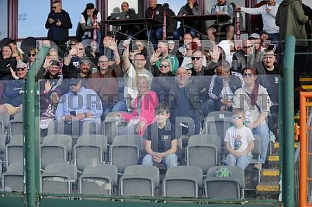 29.Spieltag BFC Dynamo - FC Rot-Weiß Erfurt