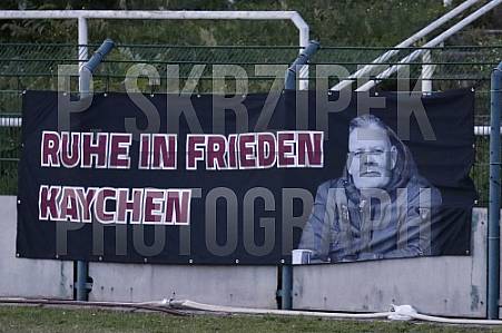 13.Spieltag BFC Dynamo - FSV Optik Rathenow,