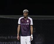 24.Spieltag BFC Dynamo - Hertha BSC II