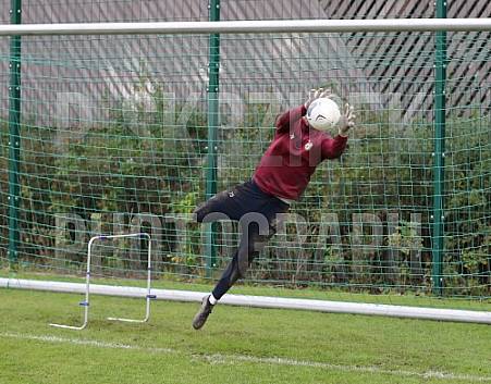 Training vom 24.10.2023 BFC Dynamo