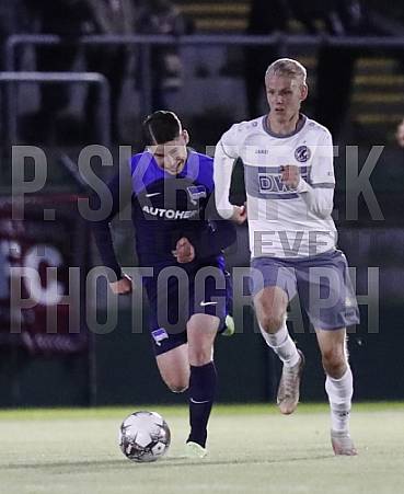 6.Spieltag BFC Dynamo - Hertha BSC U23