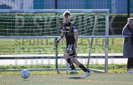 8.Spieltag BFC Dynamo U17 - 1.FC Union U16