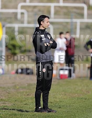 8.Spieltag BFC Dynamo U19 - FC Energie Cottbus U19 ,