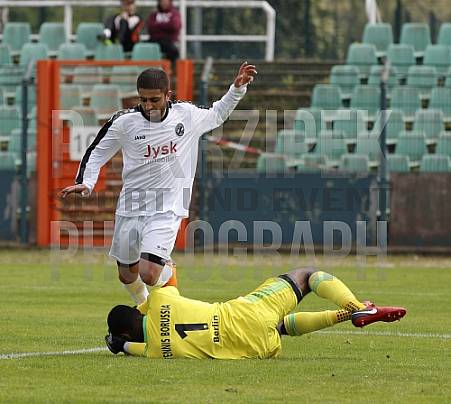 22.Spieltag BFC Dynamo U19 - Tennis Borussia U19 , 22.Spieltag BFC Dynamo U19 - Tennis Borussia U19 ,
