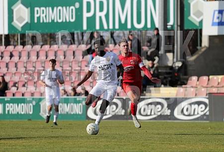 20.Spieltag ZFC Meuselwitz - BFC Dynamo