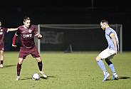 20.Spieltag BFC Dynamo - Chemnitzer FC,