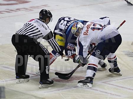 Eisbären Berlin -  EHC Red Bull München ,
