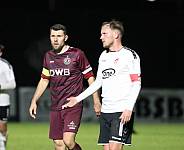 18.Spieltag BFC Dynamo - ZFC Meuselwitz,
