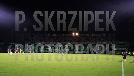 9.Spieltag BSG Chemie Leipzig - BFC Dynamo 9.Spieltag BSG Chemie Leipzig - BFC Dynamo