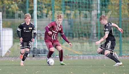 8.Spieltag BFC Dynamo U17 - 1.FC Union U16