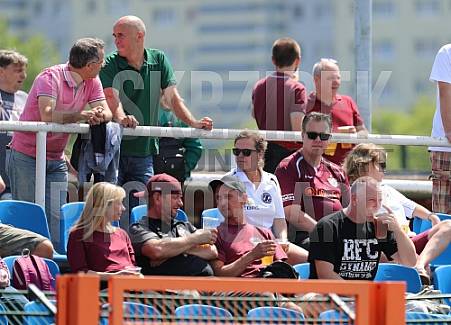 Testspiel BFC Dynamo - SV Sparta Lichtenberg