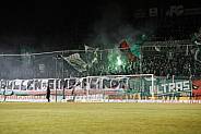 14.Spieltag BSG Chemie Leipzig - BFC Dynamo