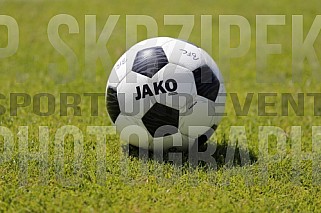 Testspiel BFC Dynamo - SV Lichtenberg 47,