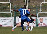 29. Spieltag BFC Dynamo - FC Hertha 03 Zehlendorf