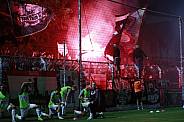 9.Spieltag BSG Chemie Leipzig - BFC Dynamo