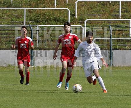 BFC Dynamo U19 - Berliner AK U19