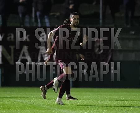 12.Spieltag BFC Dynamo - FC Viktoria 1889 Berlin