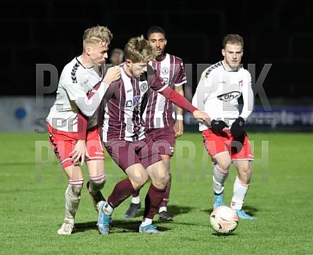 24.Spieltag BFC Dynamo - ZFC Meuselwitz,