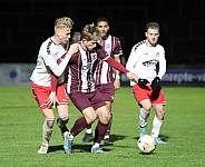 24.Spieltag BFC Dynamo - ZFC Meuselwitz,