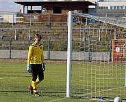 8.Spieltag BFC Dynamo U19 - FC Energie Cottbus U19 ,