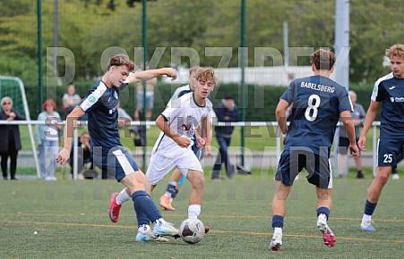 3.Spieltag BFC Dynamo U19 - SV Babelsberg 03 U19
