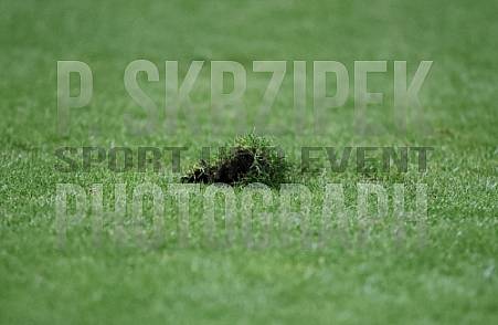 20.Spieltag BFC Dynamo - Chemnitzer FC ,