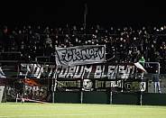 10.Spieltag BFC Dynamo - SV Babelsberg 03