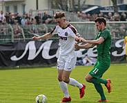 29.Spieltag BSG Chemie Leipzig - BFC Dynamo