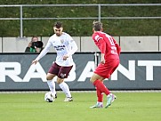 17.Spieltag FSV Zwickau - BFC Dynamo