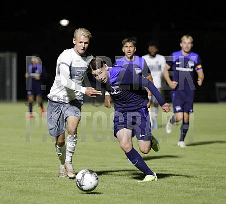 6.Spieltag BFC Dynamo - Hertha BSC U23