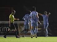 12.Spieltag BFC Dynamo - FC Viktoria 1889 Berlin