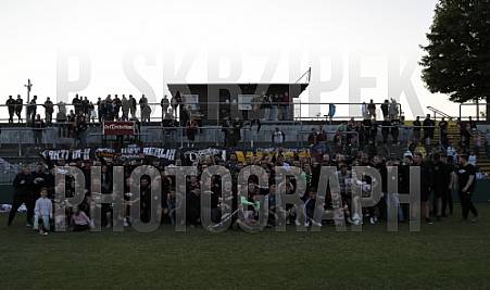 BFC Dynamo - BFC Dynamo Allstars Team,