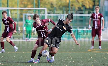 8.Spieltag BFC Dynamo U17 - 1.FC Union U16