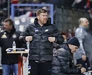 24.Spieltag Hertha BSC II - BFC Dynamo