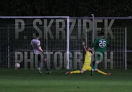 2.Runde AOK-Landespokal Füchse Berlin - BFC Dynamo