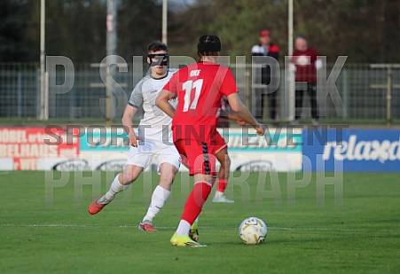 21.Spieltag ZFC Meuselwitz - BFC Dynamo