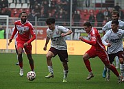 15.Spieltag Hallescher FC - BFC Dynamo