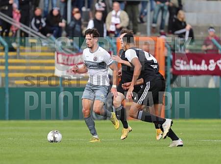 8.Spieltag BFC Dynamo - Tennis Borussia Berlin,