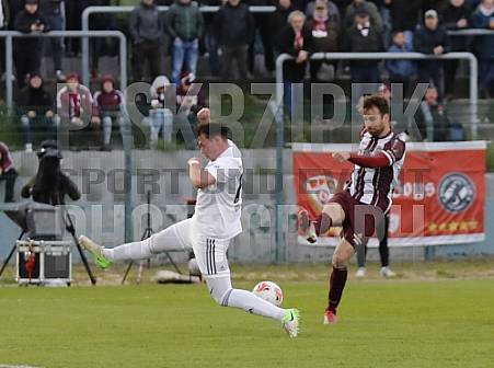 35.Spieltag BFC Dynamo - Tennis Borussia Berlin,