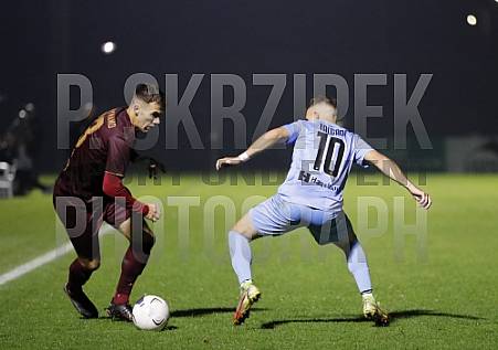 12.Spieltag BFC Dynamo - FC Viktoria 1889 Berlin