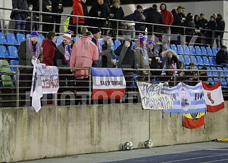 25.Spieltag SV Tasmania - BFC Dynamo, 25.Spieltag SV Tasmania - BFC Dynamo,
