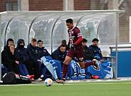 Testspiel Hertha BSC II - BFC Dynamo