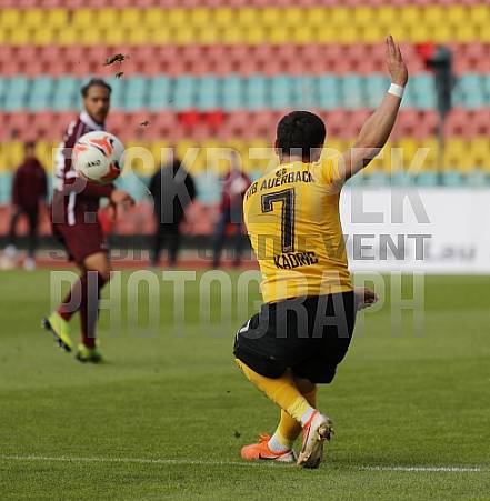 11.Spieltag BFC Dynamo - VfB Auerbach, 11.Spieltag BFC Dynamo - VfB Auerbach,