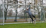 17.11.2022 Training BFC Dynamo