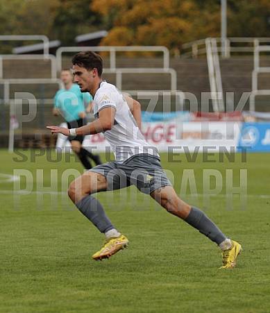 8.Spieltag BFC Dynamo - Tennis Borussia Berlin,