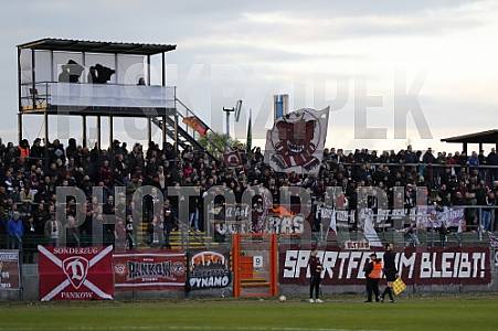 35.Spieltag BFC Dynamo - Tennis Borussia Berlin,