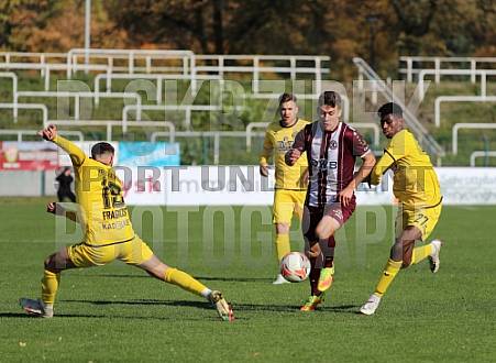 15.Spieltag BFC Dynamo - VfB Auerbach,