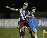 25.Spieltag SV Tasmania - BFC Dynamo,