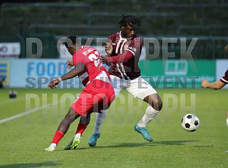 8.Spieltag BFC Dynamo - Greifswalder FC